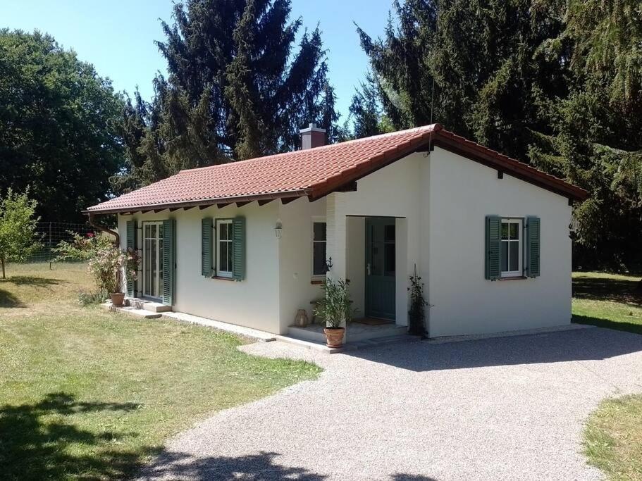 Idylisches Cottage Mit Reh 보르흐시 외부 사진