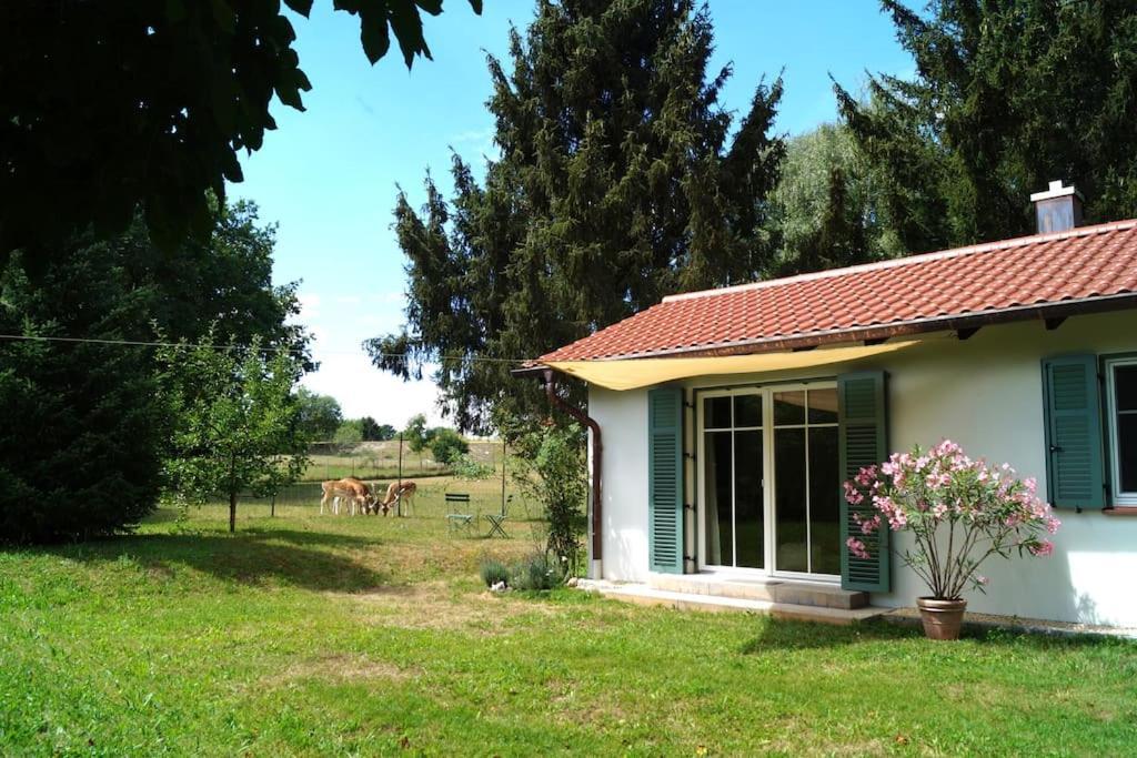 Idylisches Cottage Mit Reh 보르흐시 외부 사진